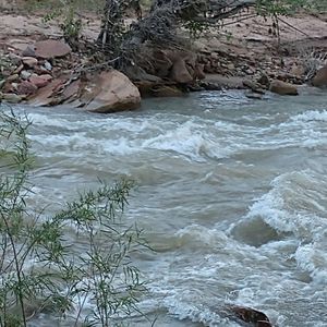 Meet your Posher, Annette